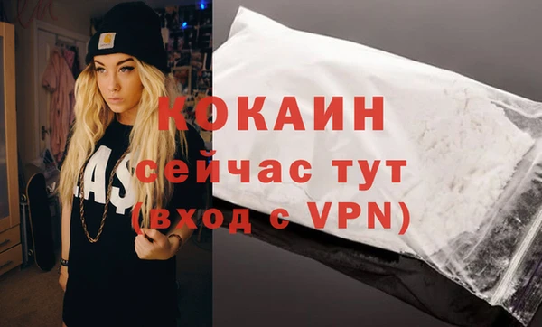 шишки Вязьма