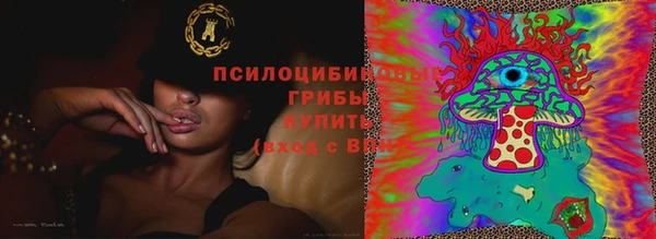 a pvp Володарск