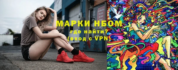 шишки Вязьма